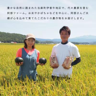 かぼちゃ5kg阿部ファーム産ダークホース【AE-002】