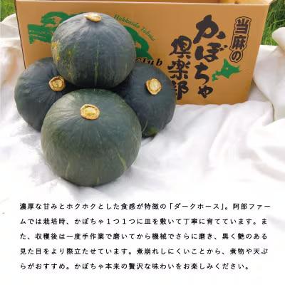 かぼちゃ5kg阿部ファーム産ダークホース【AE-002】
