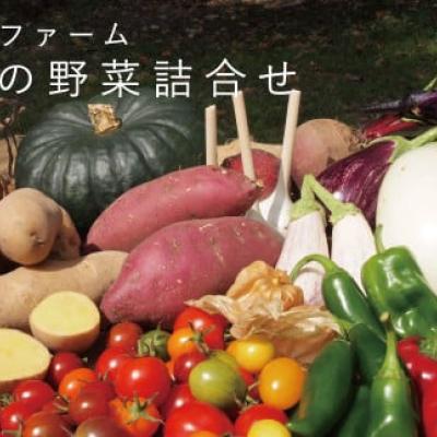 相馬ファーム季節の野菜詰め合わせ【AH-001】