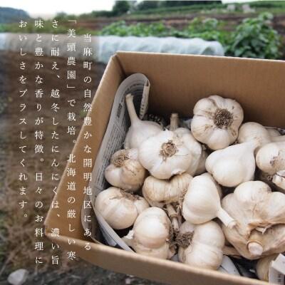 訳ありニンニク【AK-009】