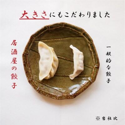 大きめ居酒屋餃子 600g 九州・沖縄配送不可