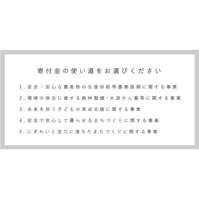 北海道産トマトと海老のパスタソース激辛【C-018】