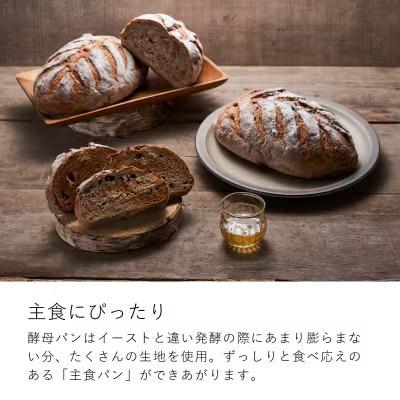 大きな 酵母パン 冷凍発送 森のぱんやさん凜香【E-006】