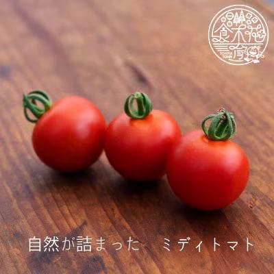 のんの畑北海道トマトジュース「たいせつなトマト」【G-001】