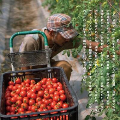 のんの畑北海道 パプリカ1kg【G-008】