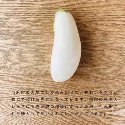 高橋農園ハタケノギフト【O-001】