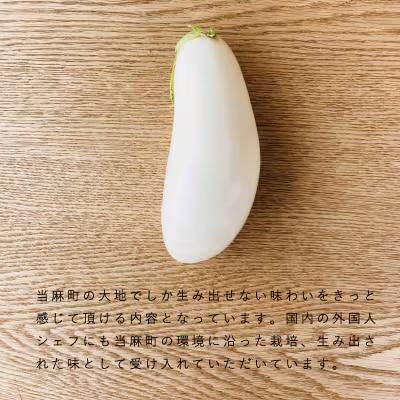 高橋農園ハタケノギフト 定期便