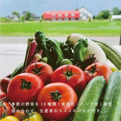 高橋農園ハタケノギフト 定期便