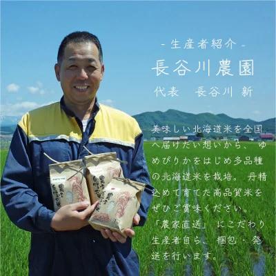 長谷川農園 特A ななつぼし 10kg 北海道