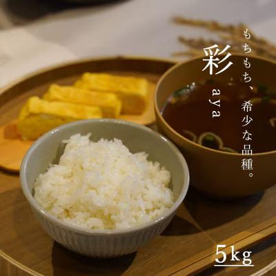 長谷川農園彩5kg